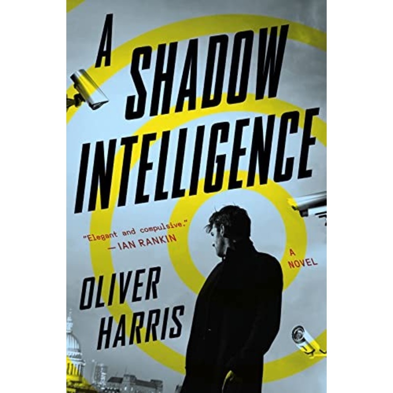 A Shadow Intelligence
