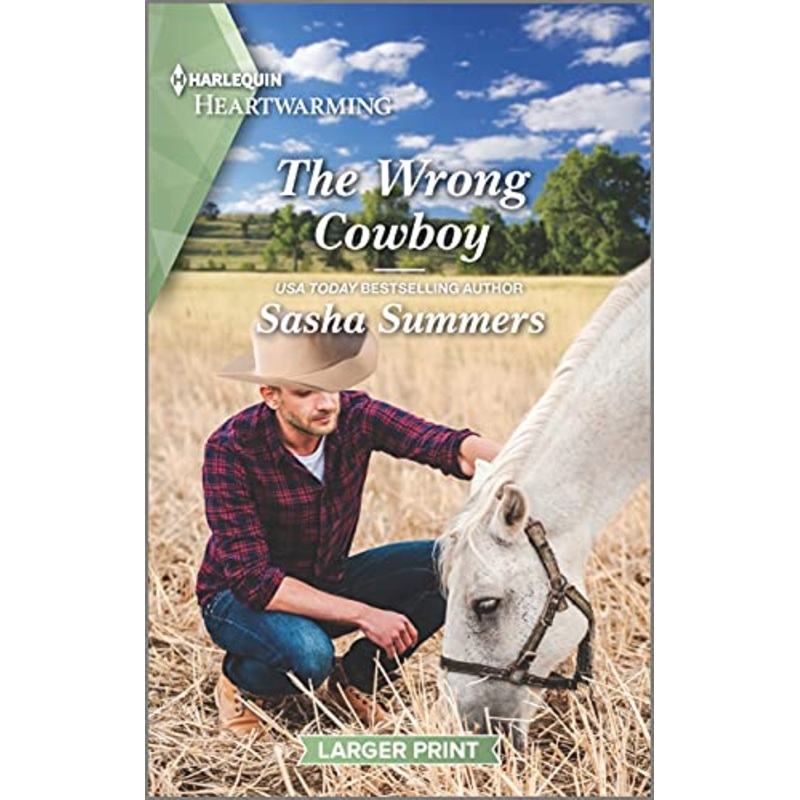 The Wrong Cowboy