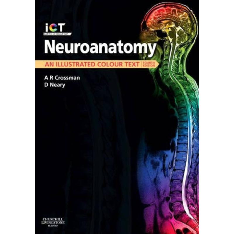 Neuroanatomy