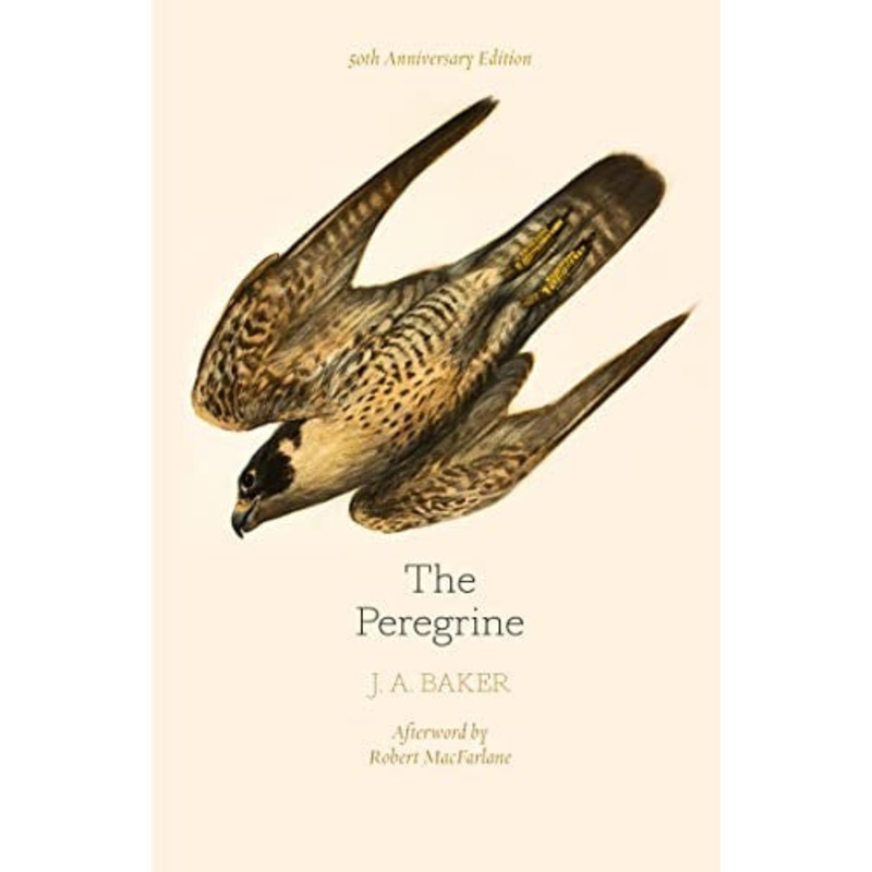 The Peregrine: 50th Anniversary Edition
