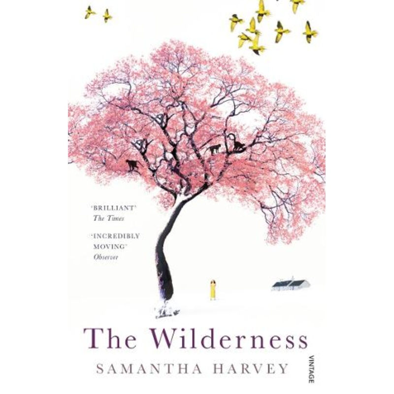 The Wilderness