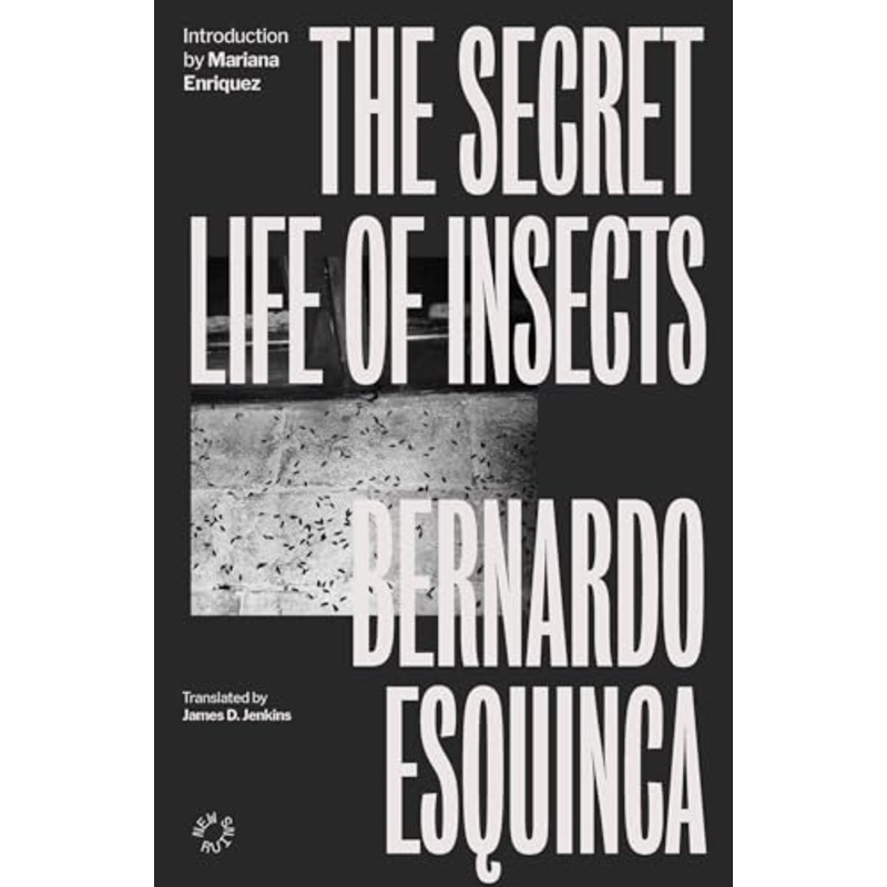 The Secret Life of Insects