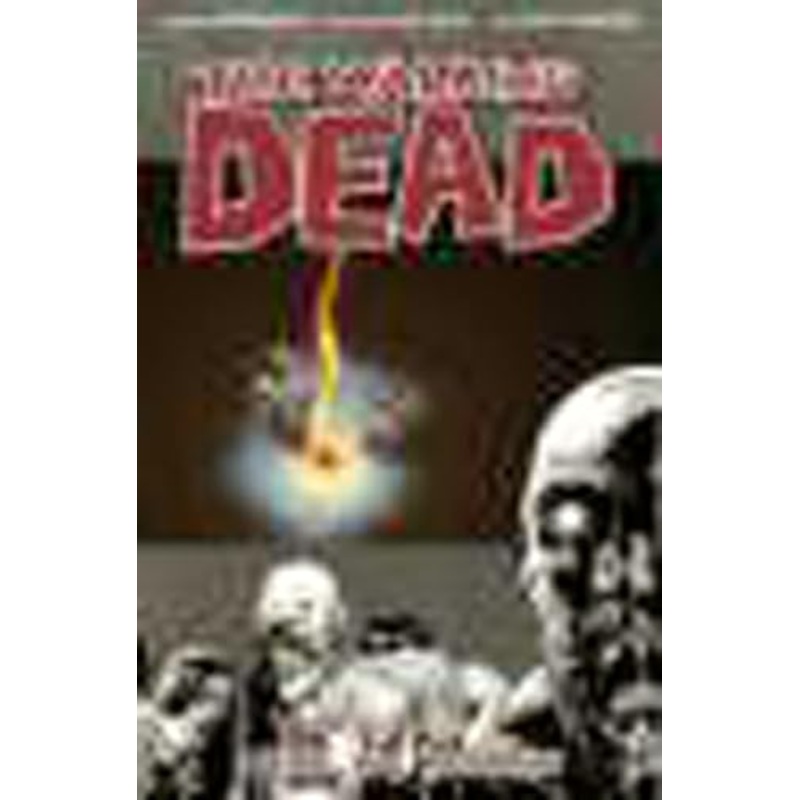 The Walking Dead Volume 9: Here We Remain
