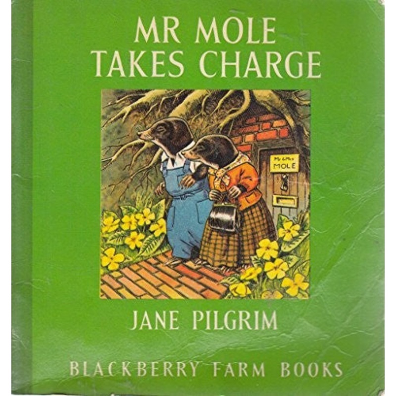 Mister Mole Takes Charge