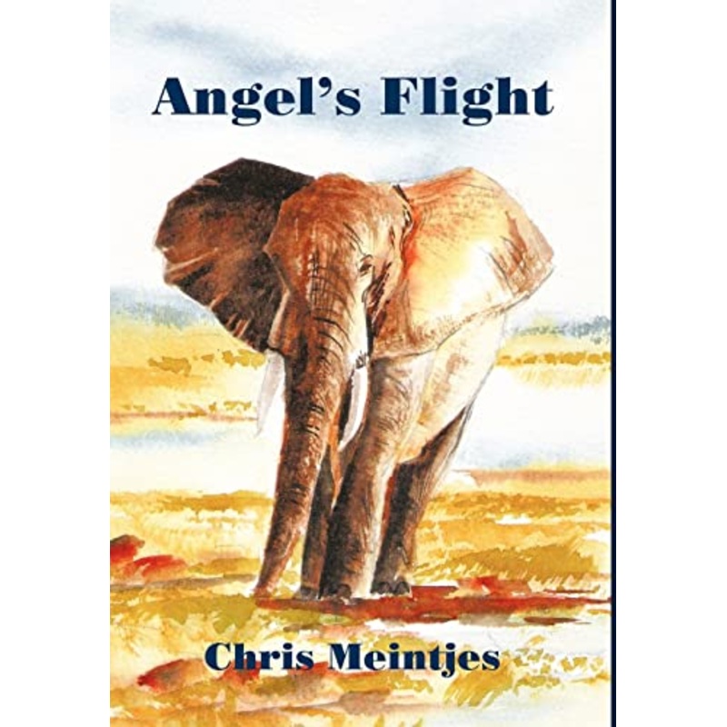 Angel’s Flight