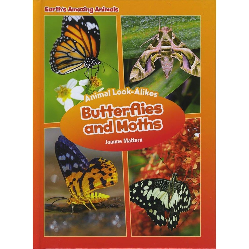 Butterflies and Moths: Animal Look-Alikes