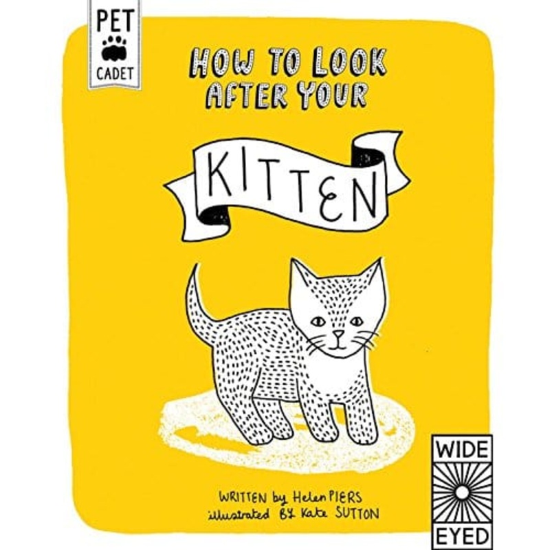 How to Look After Your Kitten: Pet Cadet
