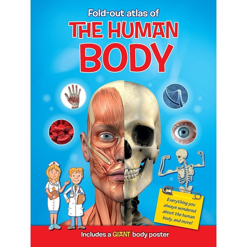 Fold-Out Atlas of the Human Body
