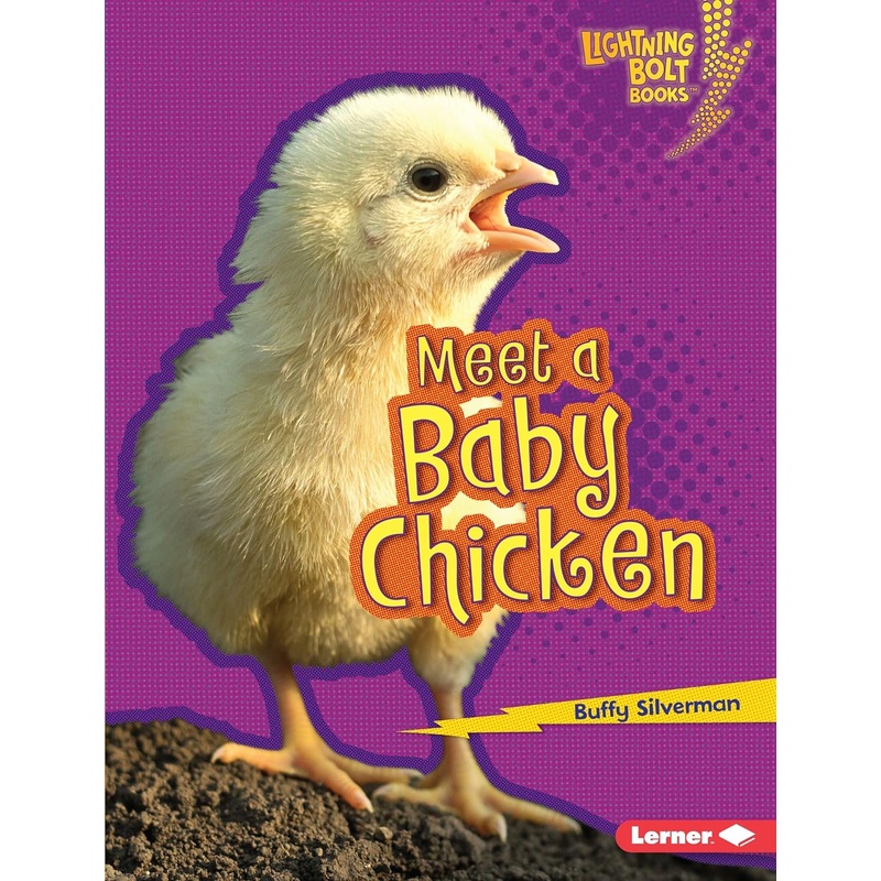 Meet a Baby Chicken