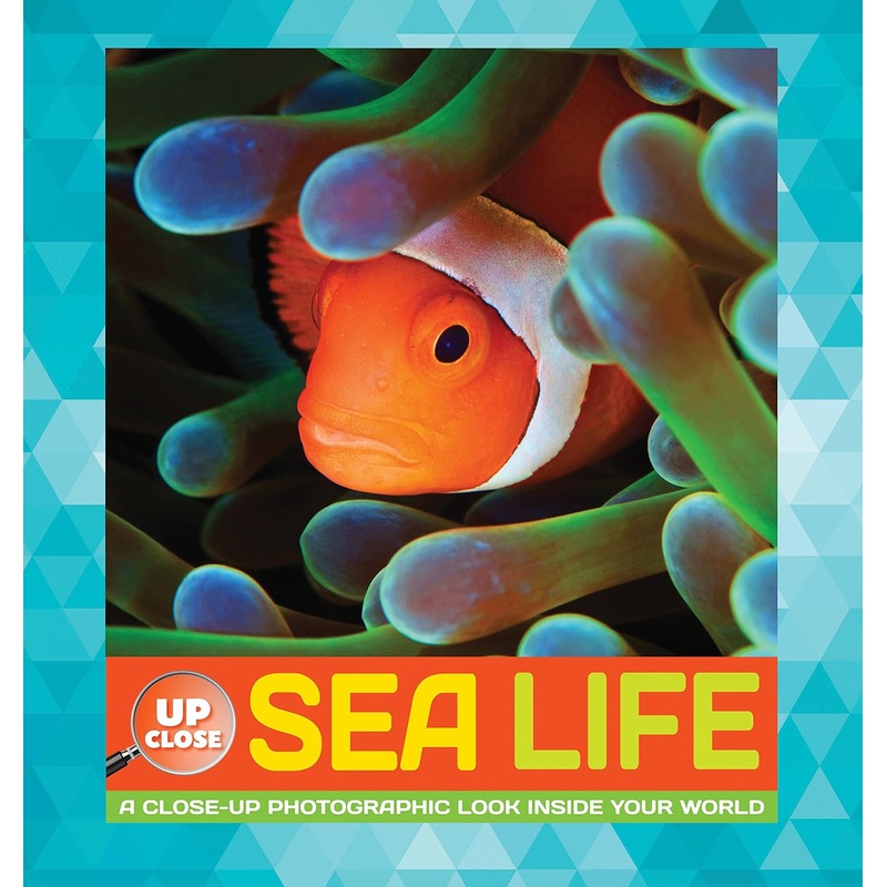 Sea Life: Up Close