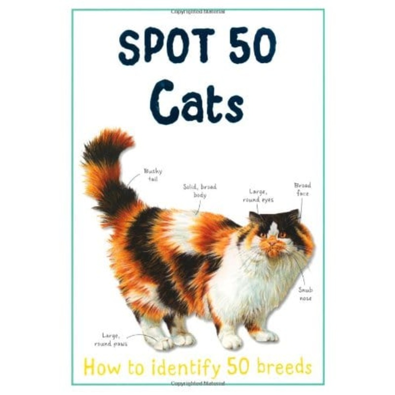 Spot 50 Cats: How to Identify 50 Breeds