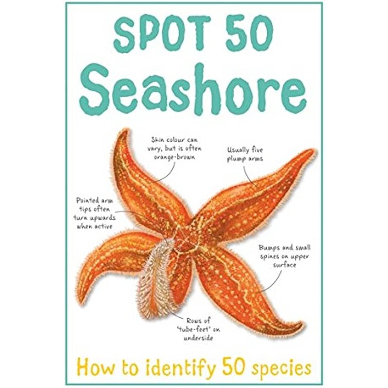 Spot 50 Seashore