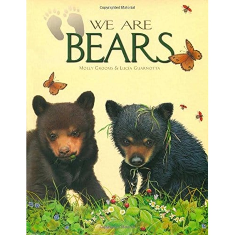 We Are Bears