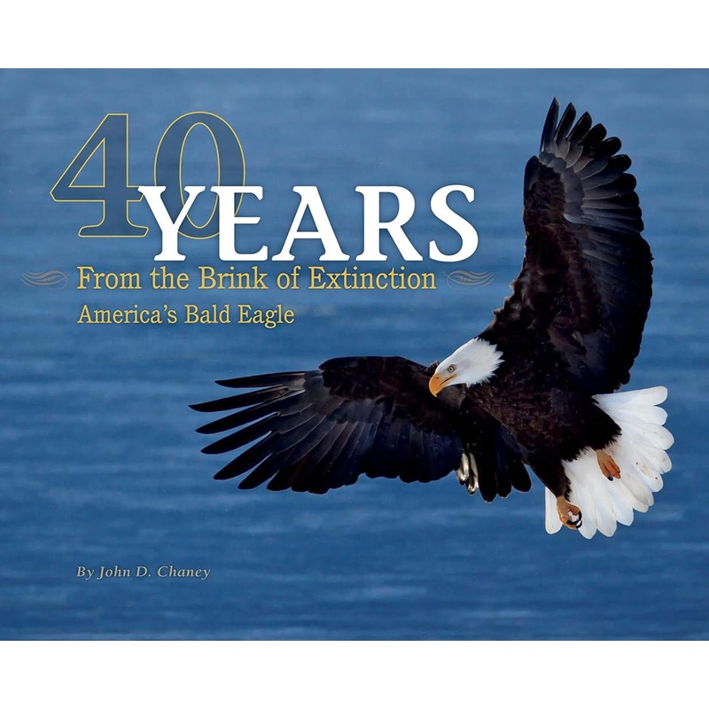 40 Years from the Brink of Extinction: America’s Bald Eagle