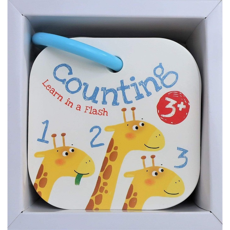 Counting: Learn in a Flash