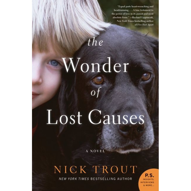 The Wonder of Lost Causes
