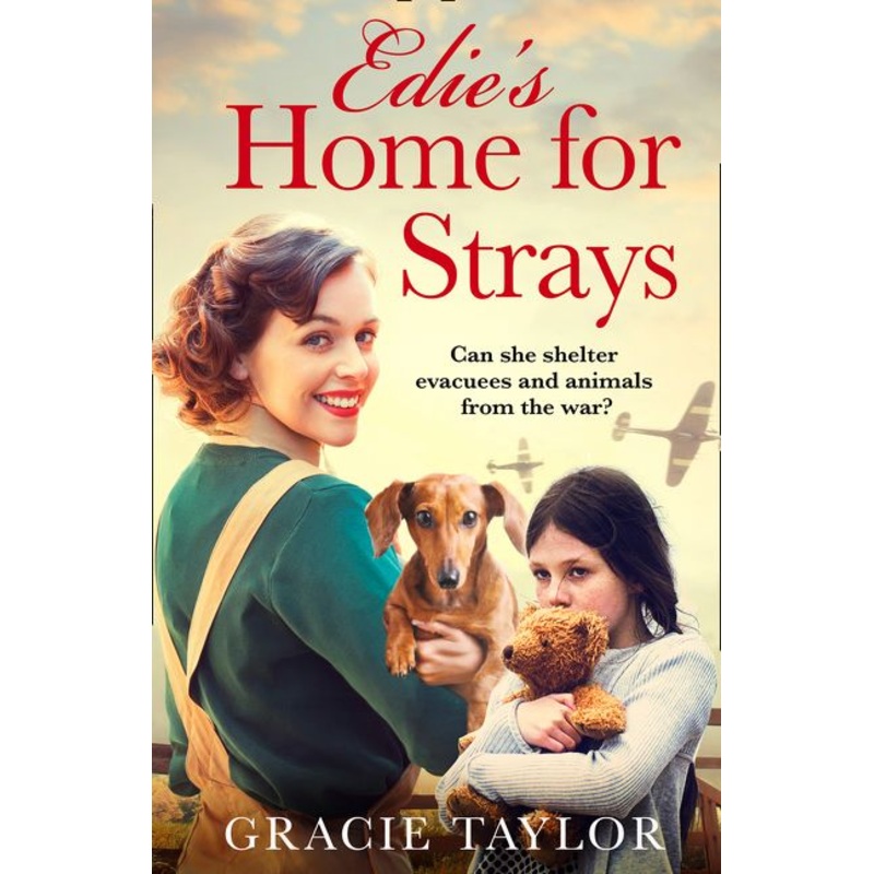 Edies Home for Strays