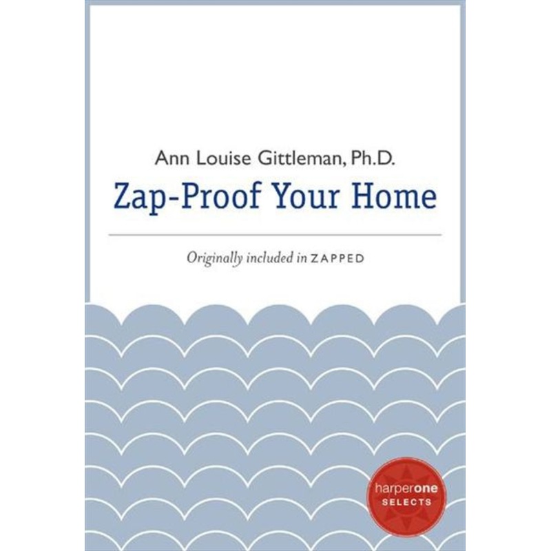 Zap Proof Your Home
