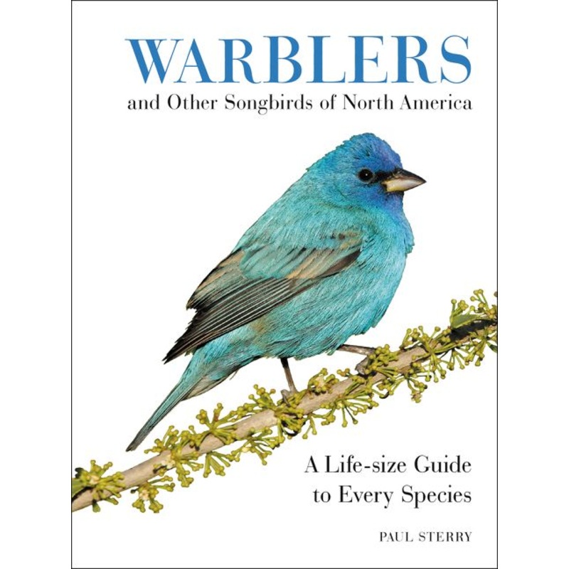 Warblers and Other Songbirds of North America