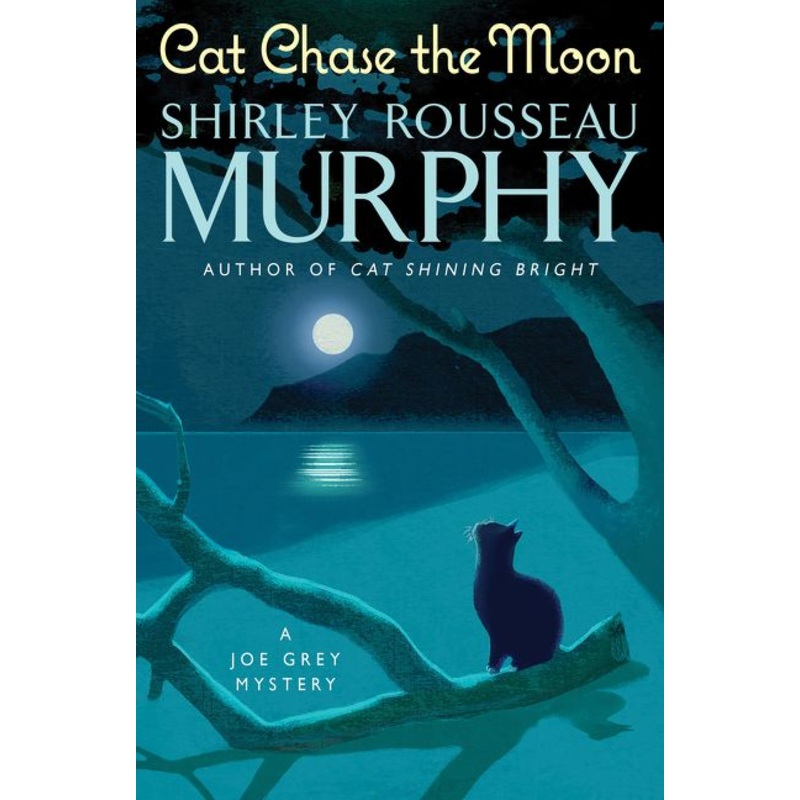 Cat Chase the Moon
