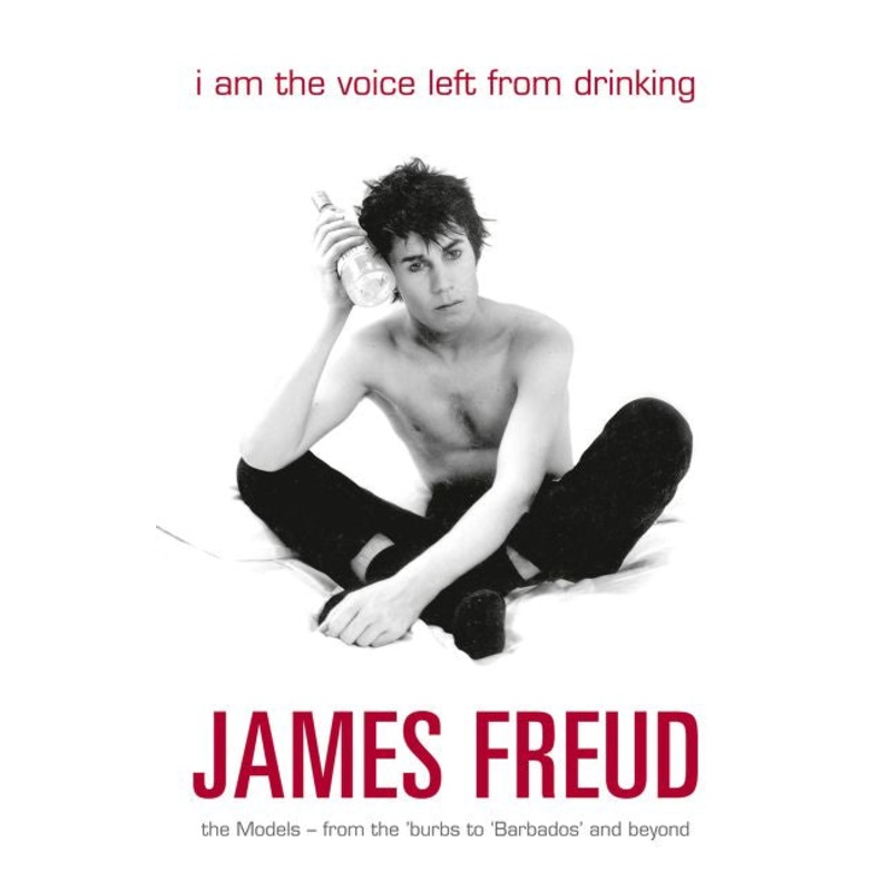 I Am the Voice Left from Drinking