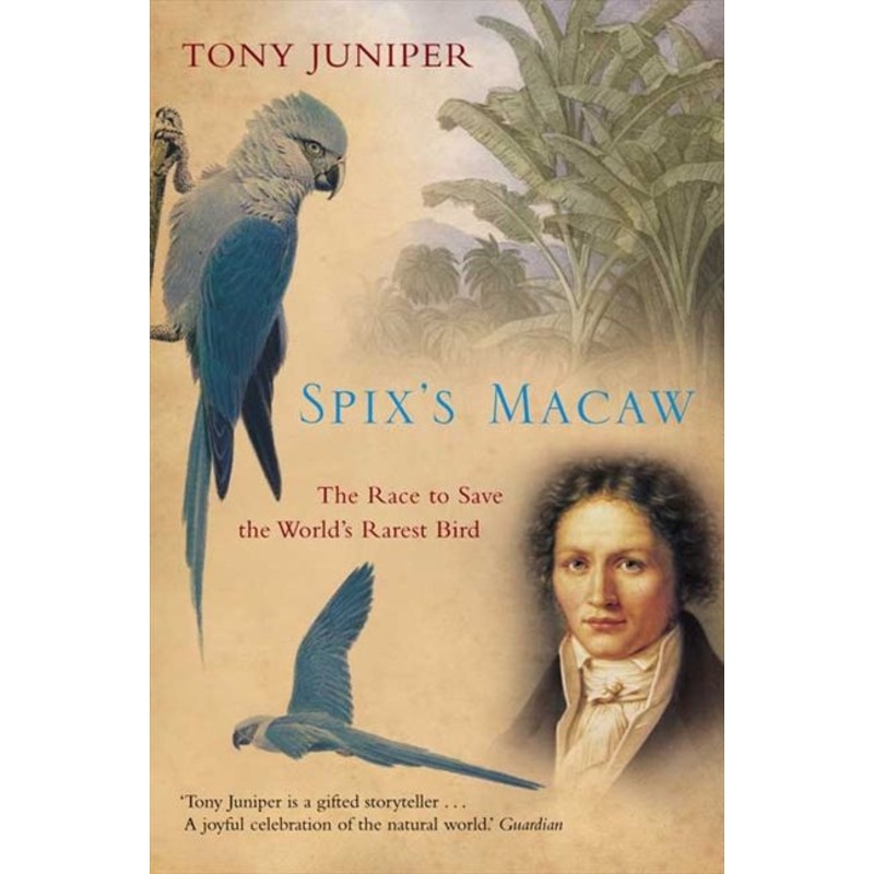 Spixs Macaw: The Race to Save the Worlds Rarest Bird
