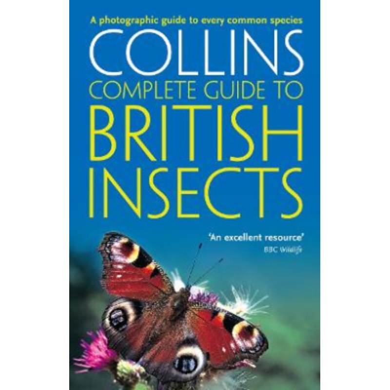 British Insects