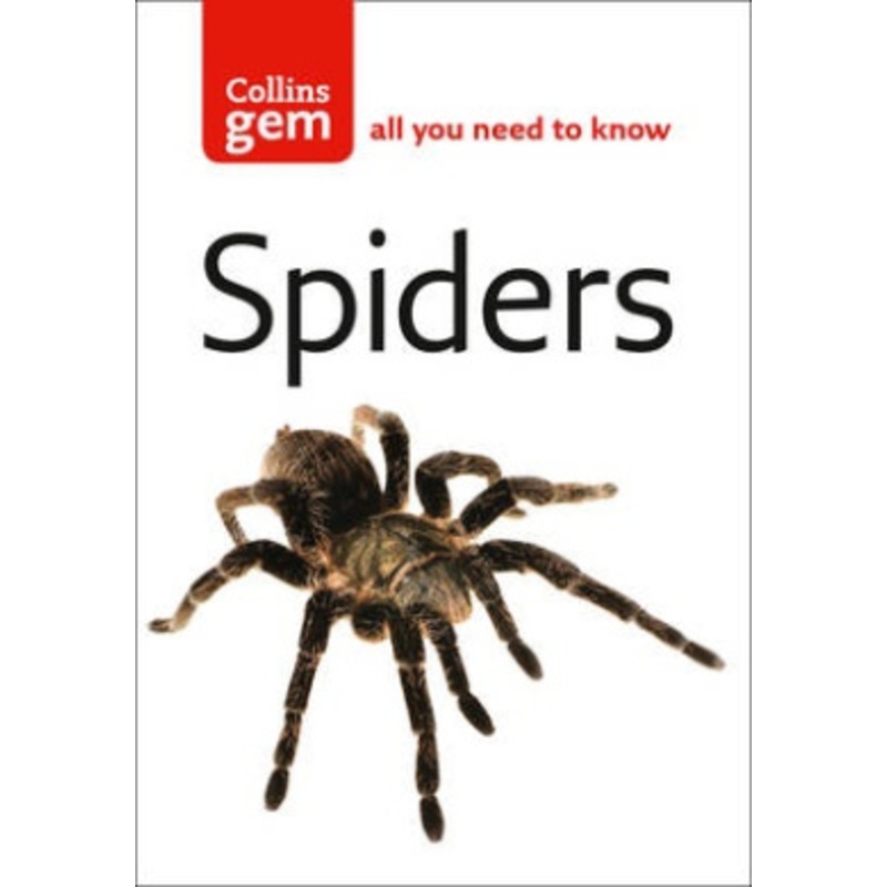Spiders (Collins Gem)