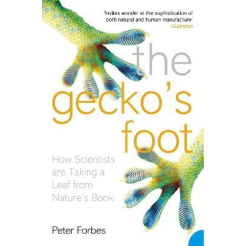 The Gecko’s Foot