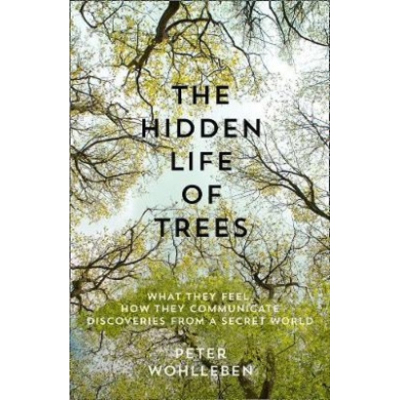 The Hidden Life of Trees