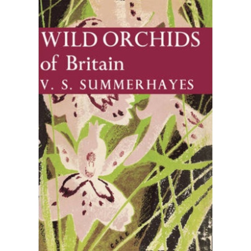 Wild Orchids of Britain