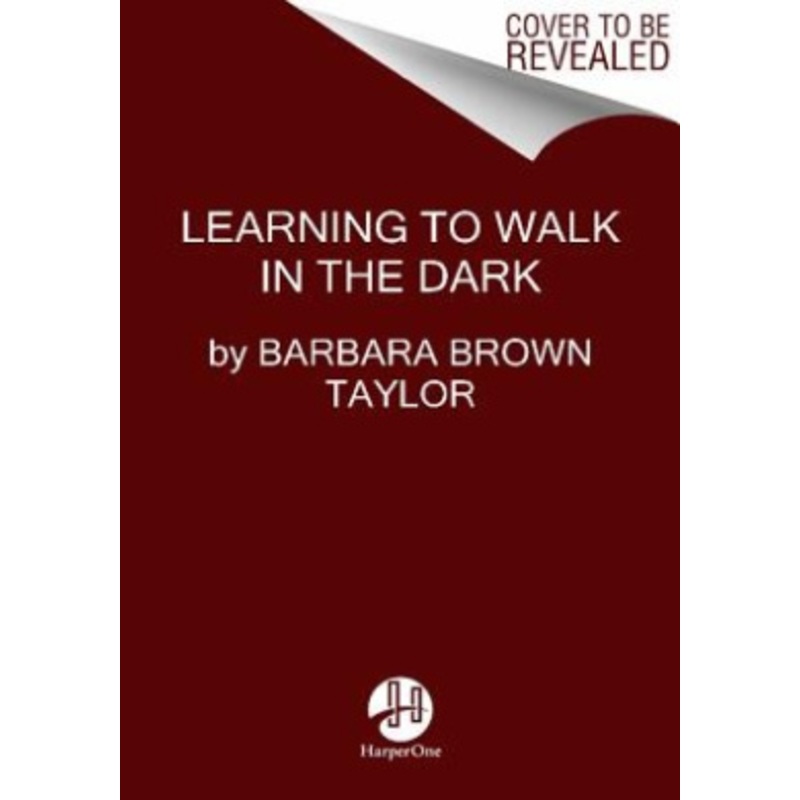 Learning to Walk in the Dark