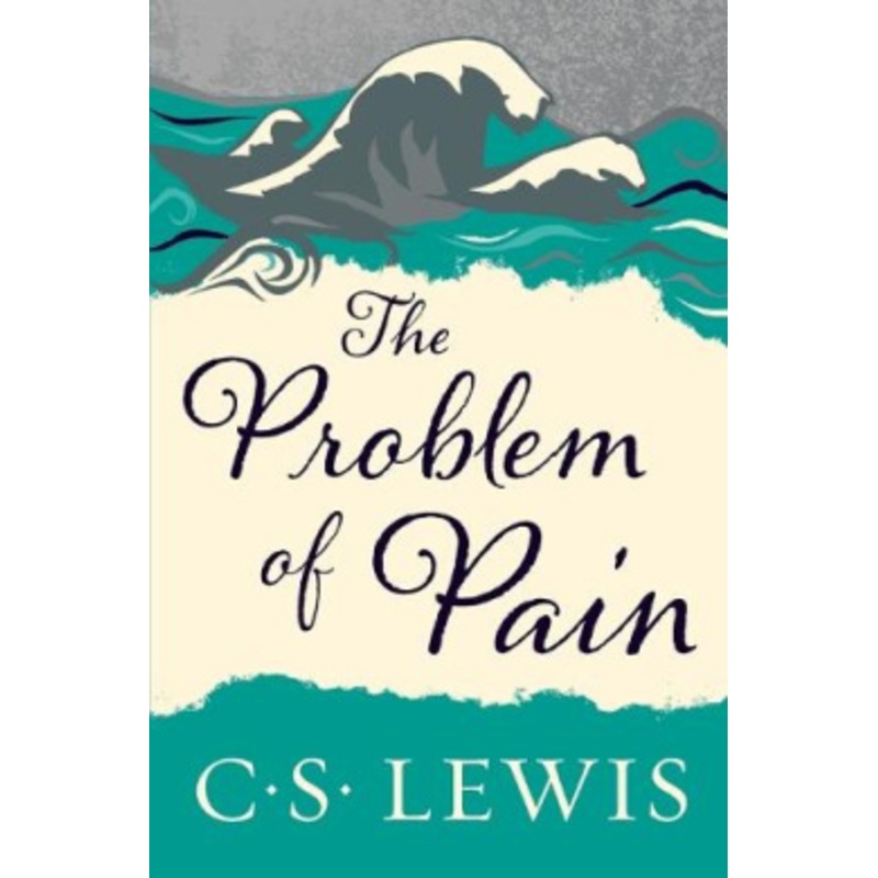The Problem of Pain
