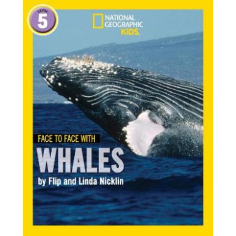 Face to Face with Whales
