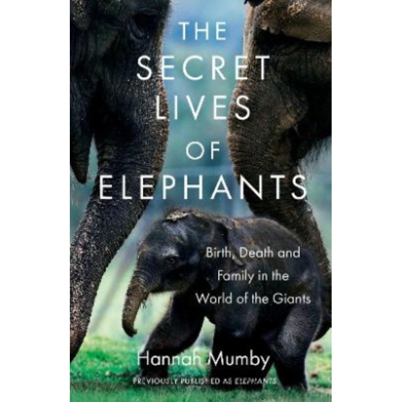The Secret Lives of Elephants