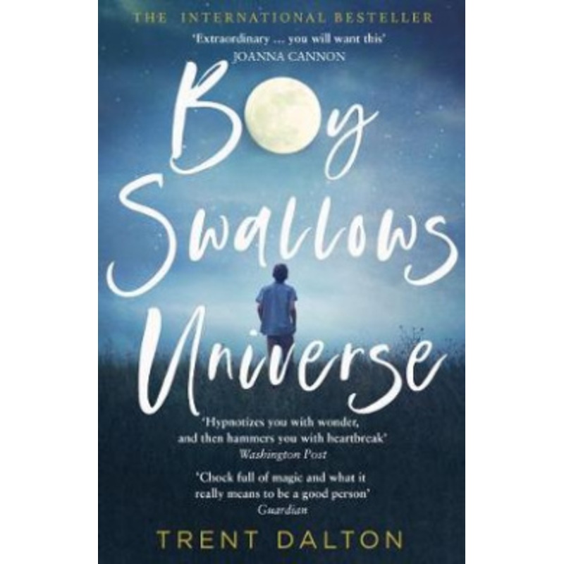 Boy Swallows Universe