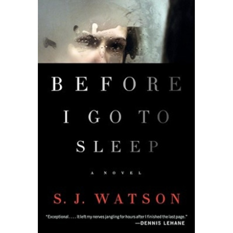 Before I Go to Sleep [Large Print]