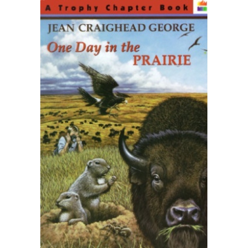 One Day in the Prairie