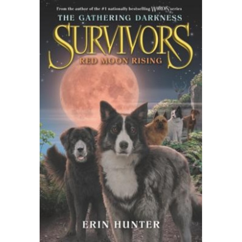 Survivors: The Gathering Darkness #4