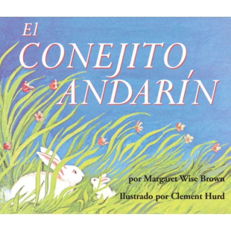 El Conejito Andarn Board Book [Spanish]