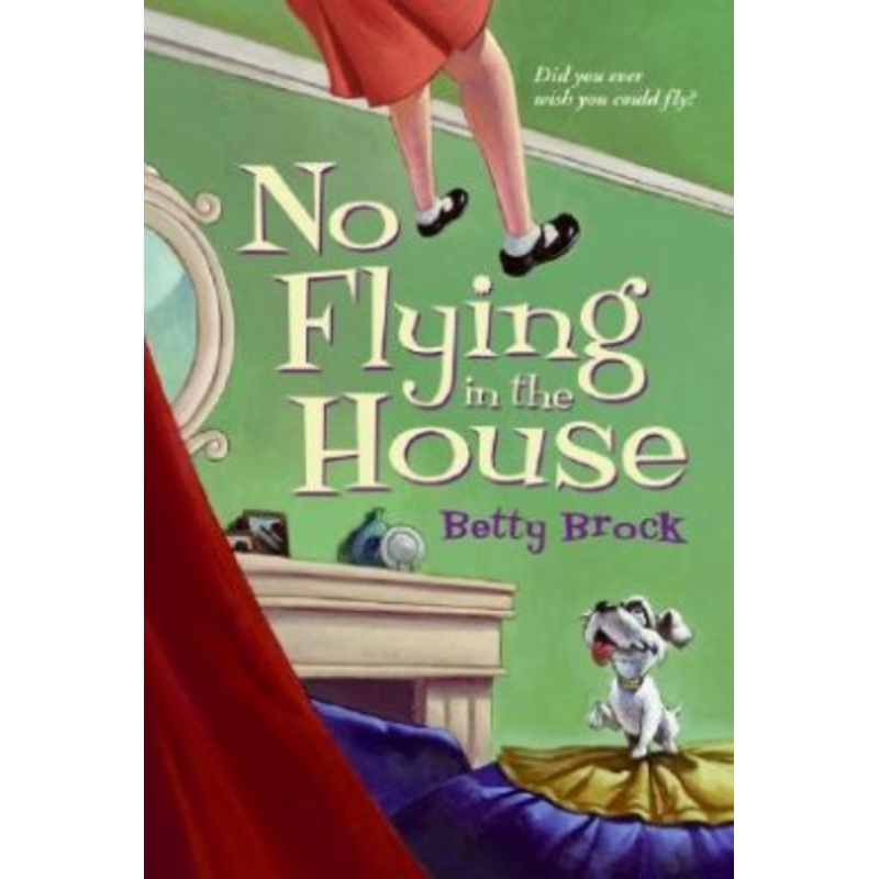 No Flying in the House