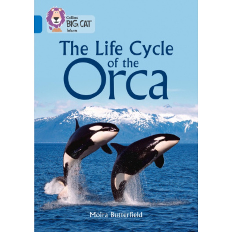 The Life Cycle of the Orca