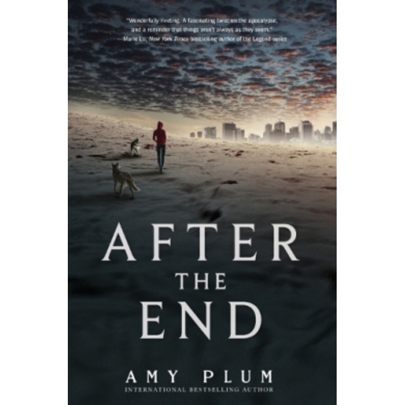 After the End (After the End)