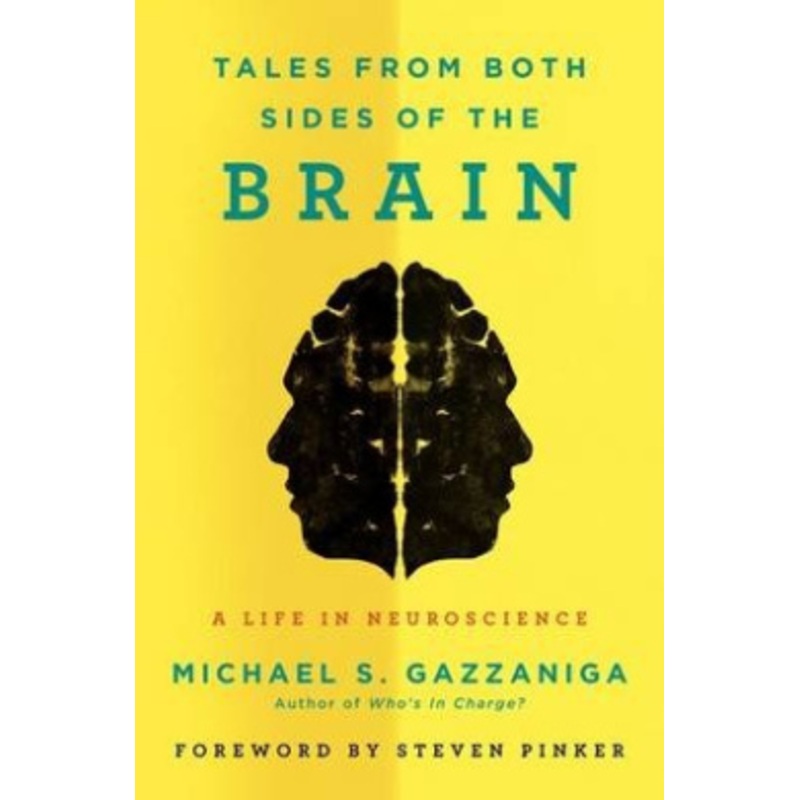 Tales from Both Sides of the Brain