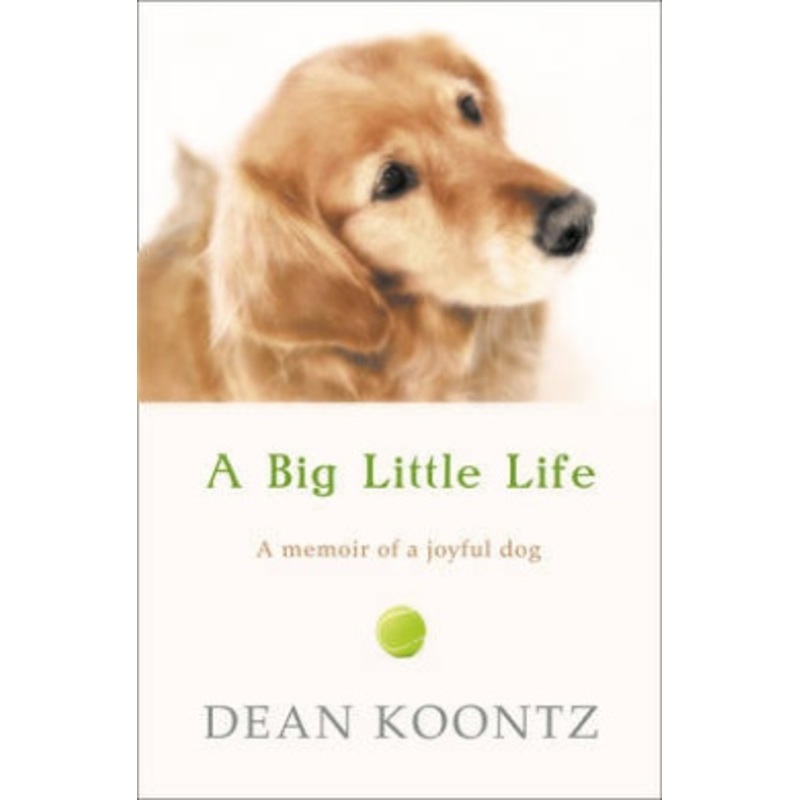 Koontz, D: A Big Little Life