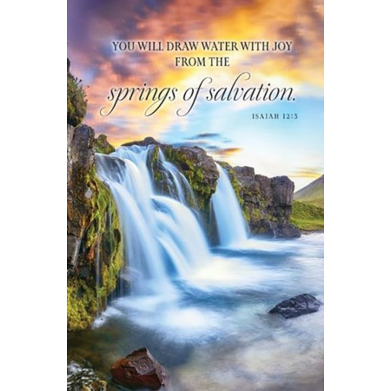 You Will Draw Water with Joy (Isaiah 12:3, CEB) Bulletins, 100