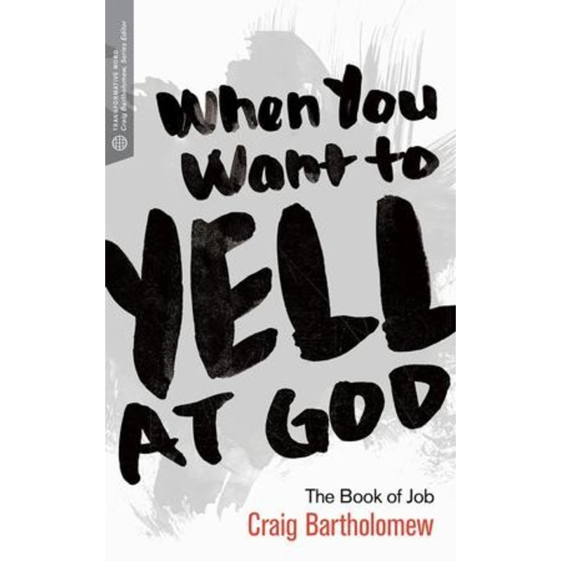 When You Want to Yell at God: The Book of Job – eBook