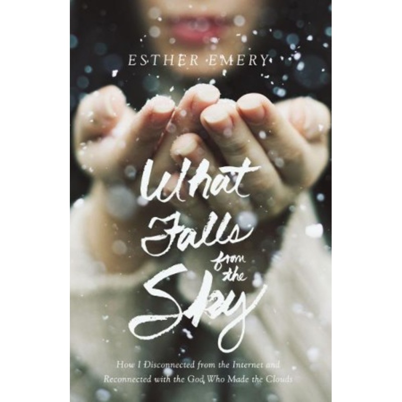 What Falls from the Sky: How I Disconnected From the Internet and Reconnected With the God Who Made the Clouds – eBook