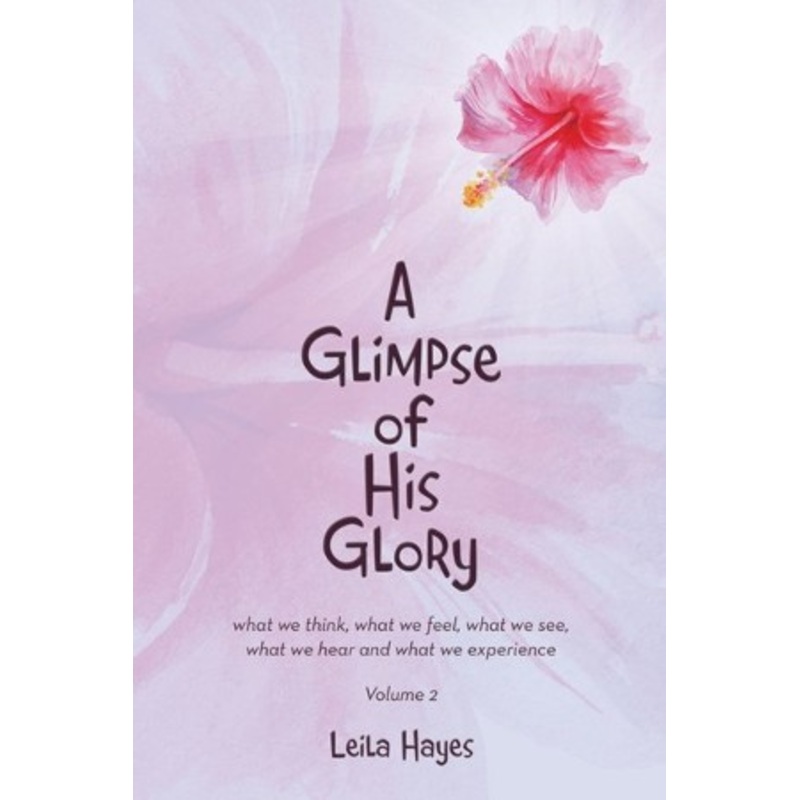 A Glimpse of His Glory: what we think, what we feel, what we see, what we hear and what we experience Volume 2