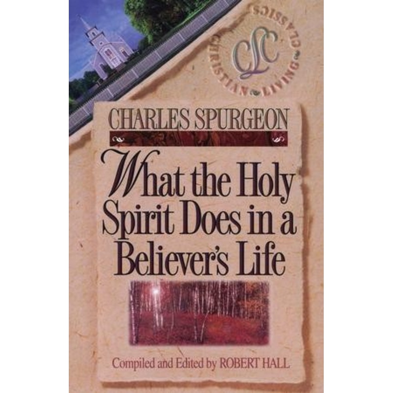 What the Holy Spirit Does in a Believer’s Life